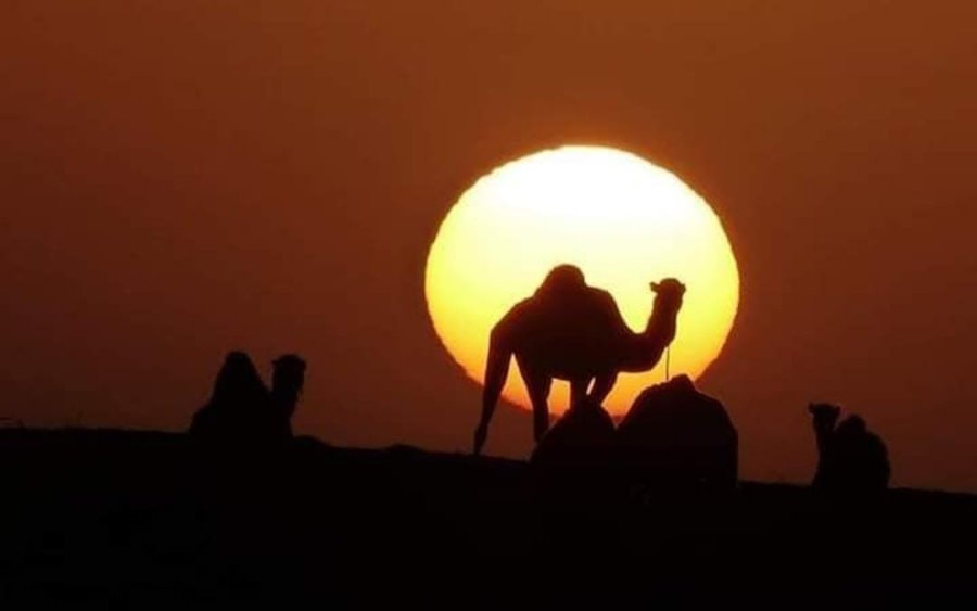 Sahara night under the stars