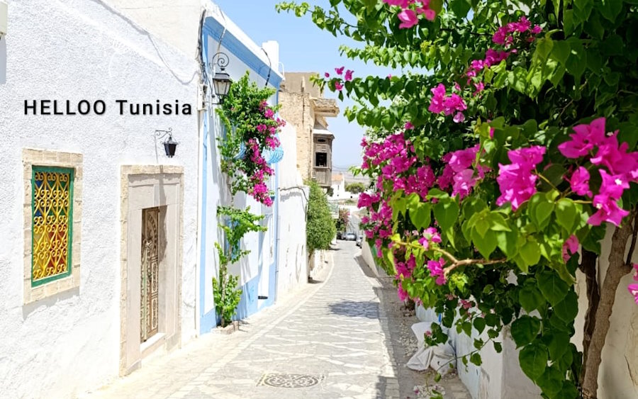 Tunisia in 10 days